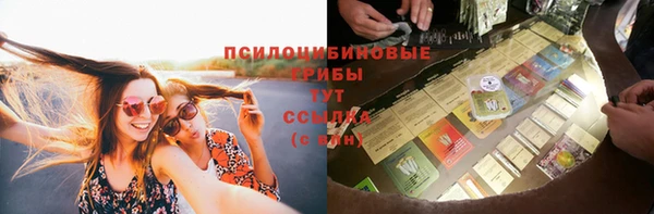 соль курить ск Тайга