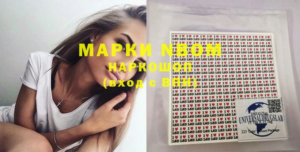 шишки Тавда