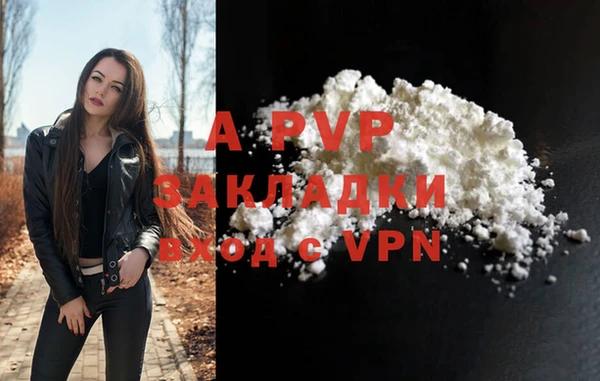 шишки Тавда