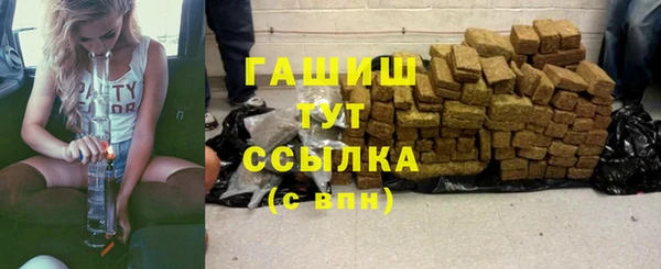 шишки Тавда